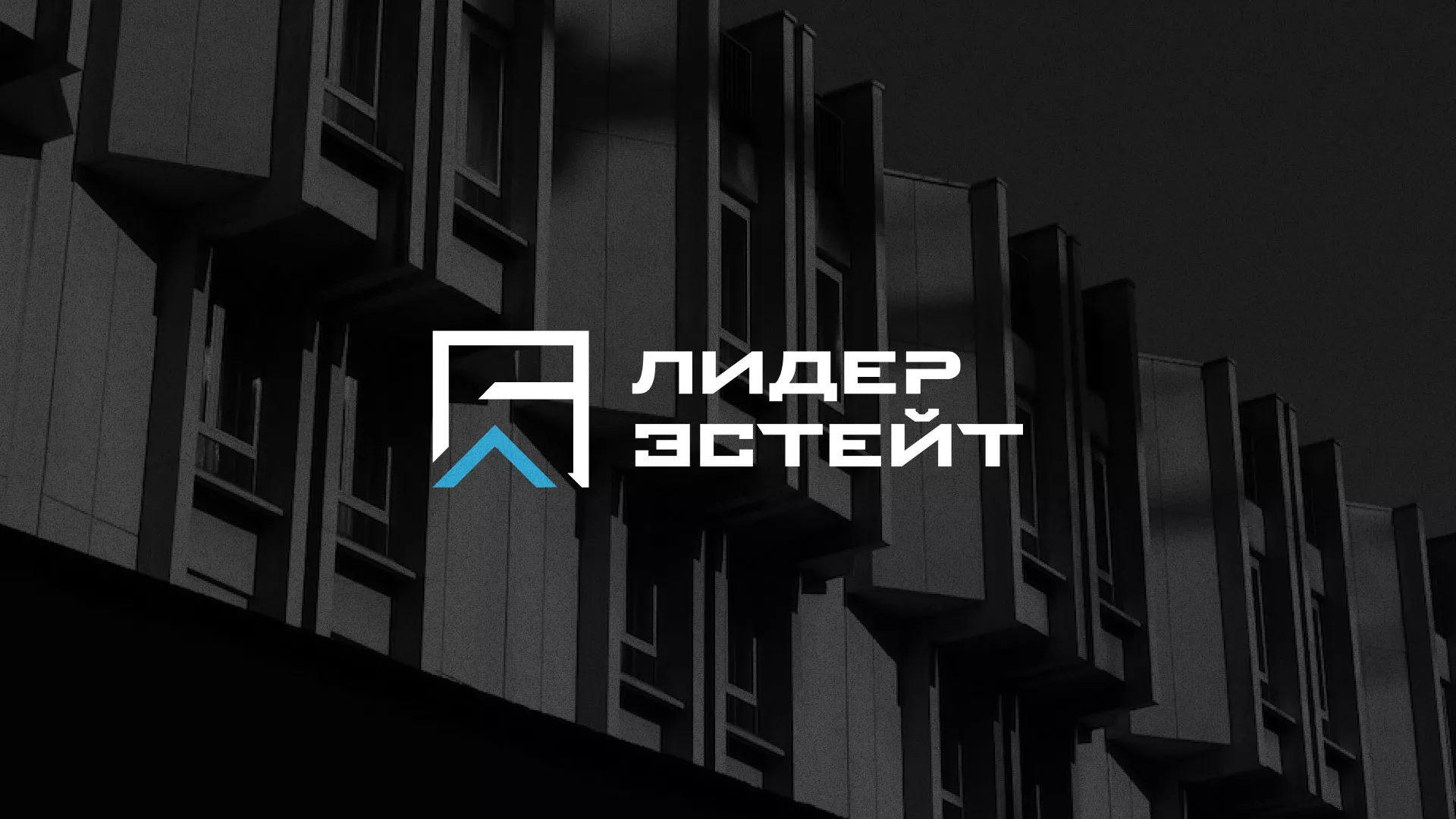 Разработка логотипа агентства недвижимости «Лидер Эстейт» в Междуреченске